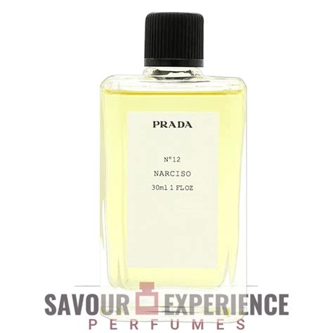 pensione da narciso prada|5 Narciso by Prada– Basenotes.